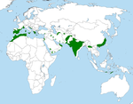 Distribució de l'àguila cuabarrada