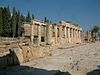 Hierapolis kolumnana RB.jpg