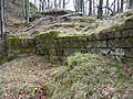 Vorschaubild für Burg Hohenfels (Pfalz)