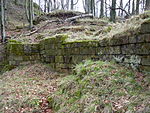 Burg Hohenfels (Pfalz)