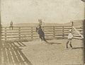 Horse-training cowboys (1907) by Erwin Evans.jpg