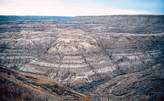 <span class="mw-page-title-main">Horseshoe Canyon Formation</span> Geological formation in Canada