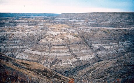 Horseshoe-Canyon-Formation