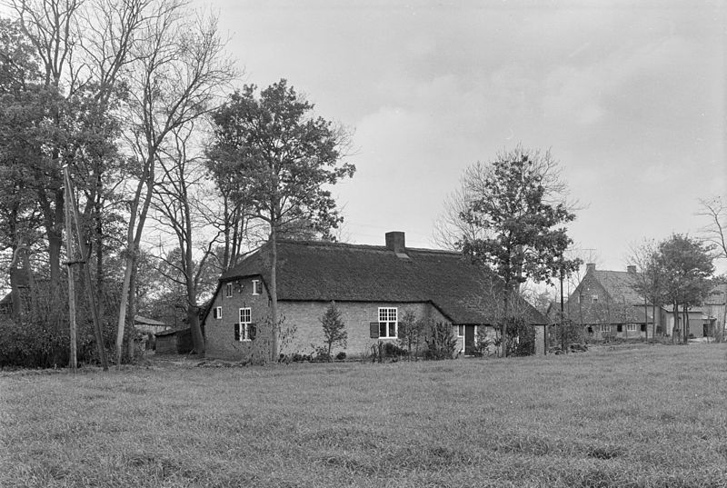 File:Huis met rieten dak, vensters met roedenverdeling en luiken, bomen om het huis, weiland op de voorgrond - Grazen - 20399977 - RCE.jpg