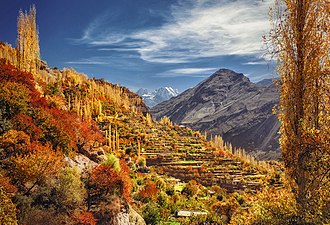 Autumn at its boom in the valley of Hunza, Gojal Conservancy, Pakistan Nasr Rahman