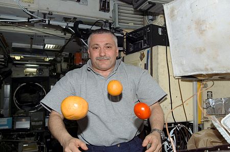 Tập_tin:ISS-15_Fruits.jpg