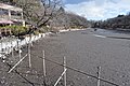 掻い掘り実施中の井の頭恩賜公園のボート池（2018年2月13日撮影）