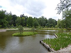 Ogród japoński w parku Kadrioru 07.jpg