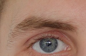 Jeremy Cadot's eyebrow.jpg