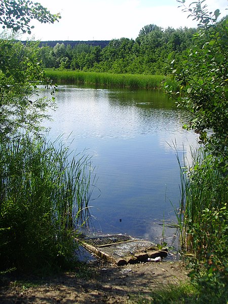 File:Jezioro w okolicach autostrady A4 w Zabrzu - panoramio.jpg