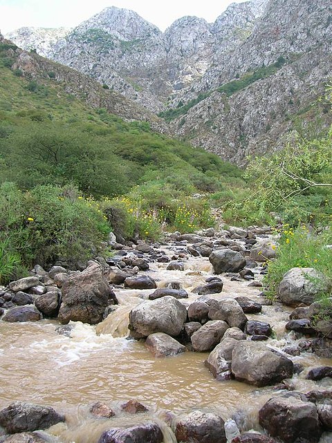 Turkestan Region