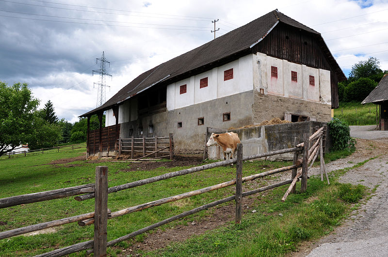 File:Keutschach Leisbach 9 vulgo DASETNIG-Hube 01062010 84.jpg