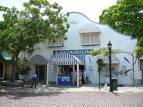 Key West Aquarium things to do in Key West