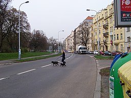 Ulice u křižovatky s Duškovou ulicí