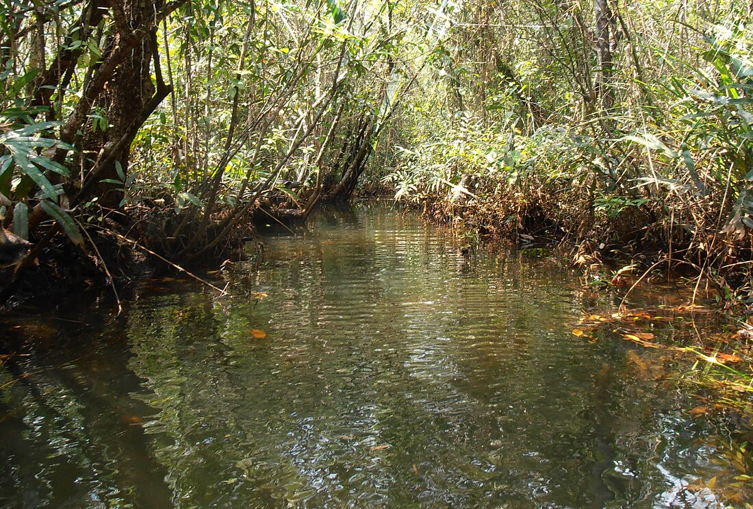 Koh Kong (provins)