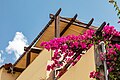 * Nomination Pergola with sun roof and flower decoration, Margarites, Crete, Greece --XRay 03:35, 16 October 2023 (UTC) * Promotion  Support Good quality. --Johann Jaritz 04:13, 16 October 2023 (UTC)