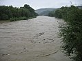 Reka pri velikom vodostaju