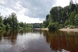 Lögdeälven strax nedströms landsvägsbron i Mo, där älven har ett starkt meandrande lopp