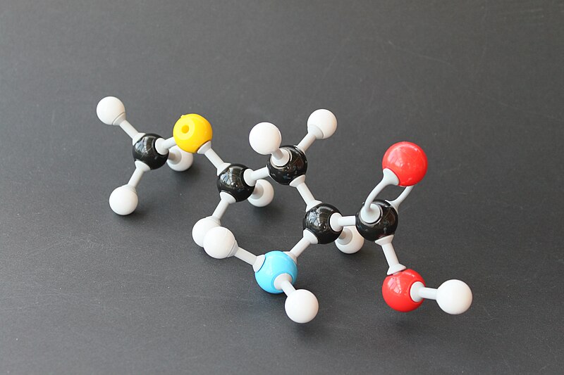 File:L-Methionin 8644.JPG