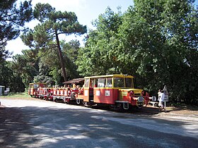 PGVS Tourist Train logó