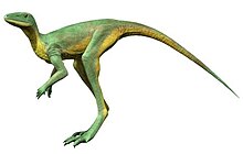 What are flying dinosaurs called?