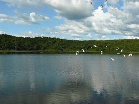 Ravelobe Gölü, Ankarafantsika Ulusal Parkı, Madagaskar.jpg