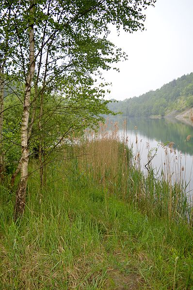 File:Landschaftsschutzgebiet Waldgürtel zwischen Salzgitter-Osterlinde und Salzgitter-Bad (Salzgitterscher Höhenzug) - Finkenkuhle (15).jpg