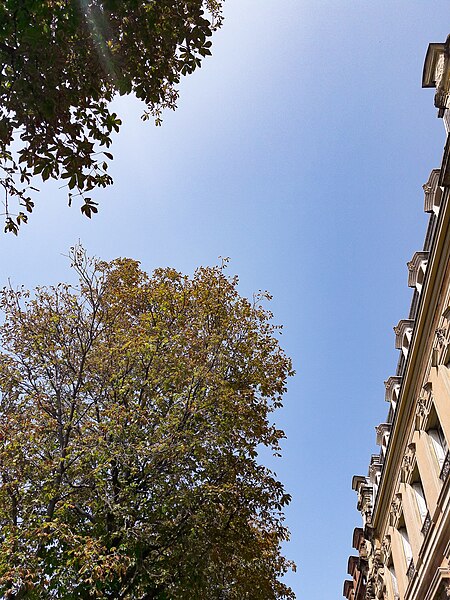 File:Le boulevard du Champ-de-Mars à Colmar.jpg