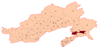 <span class="mw-page-title-main">Bordumsa-Diyun Assembly constituency</span> Constituency of the Arunachal Pradesh legislative assembly in India