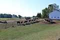 Leo Bur Dairy Farm Freedom Township Michigan.JPG
