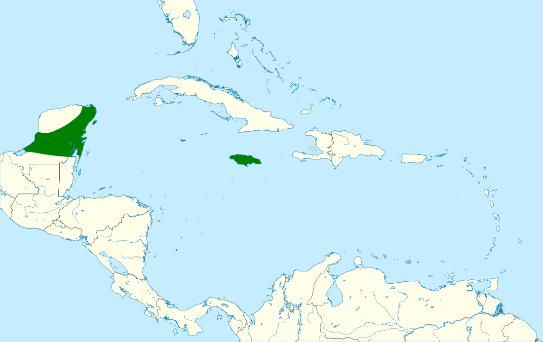 File:Leptotila jamaicensis map.svg