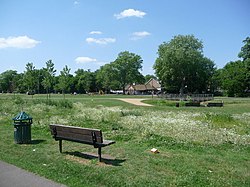 Ladywell Fields