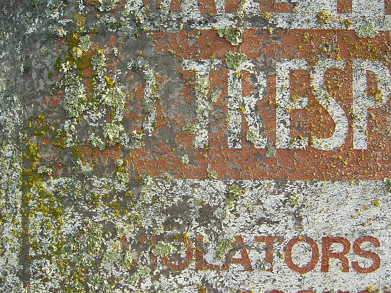 File:Lichen-Ravaged Sign (910650714).jpg