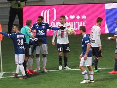 Lille vs Lyon, 18 novembre 2016 - 41.jpg