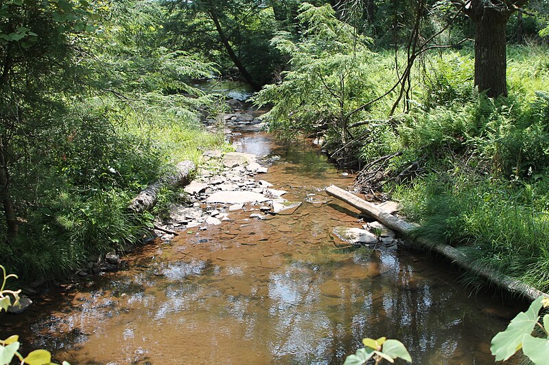 File:Little Brier Run 2.JPG