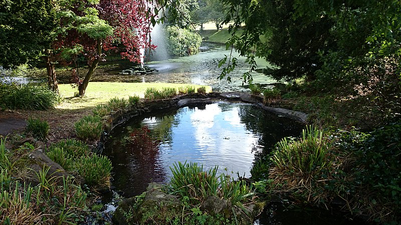 File:Lovely Sefton Park, Liverpool. - Flickr - Radarsmum67.jpg