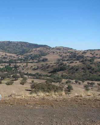 Lowe Parish, Napier County Landscape. Lowe Parish, Napier County Landscape.png