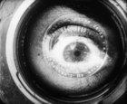 Movie Camera Man (1929)