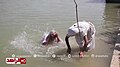 Mandaeans célébrant le jour de la création (Brunaya), Maysan, Irak - 17 mars 2019 06.jpg