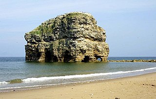 <span class="mw-page-title-main">Marsden Rock</span> Rock formation in Tyne and Wear, United Kingdom