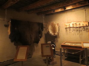 Buffalo and beaver fur exhibit