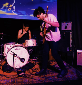 <span class="mw-page-title-main">Meatbodies</span> American garage rock band