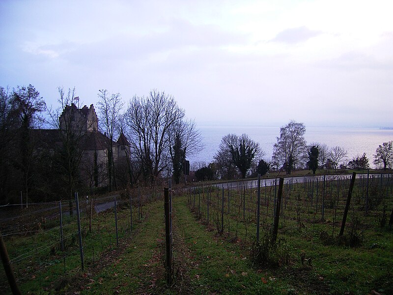 File:Meersburg Burg von Oben.jpg