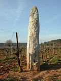 Vignette pour Peïro Plantado