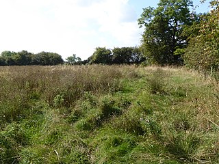 <span class="mw-page-title-main">Merry's Meadows</span>