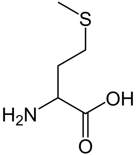 File:Methionine simple.png