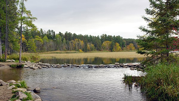 The source of the Mississippi River at Lake Itasca