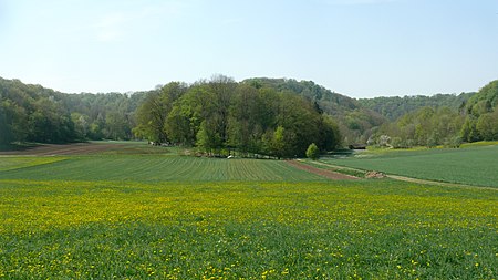 Mistlauer Umlaufberg 230411