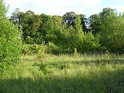 Moreton Hall Community Woods 4.jpg