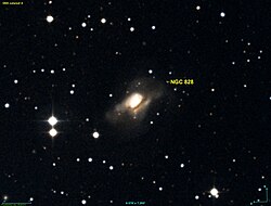 NGC 0828 DSS.jpg